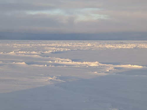 Sea icew dawn
