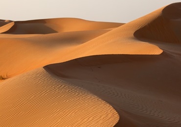 Deserts of the UAE