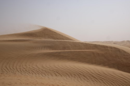 Abu Dhabi Dunes